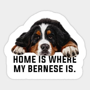 Bernese mountain dog Sticker